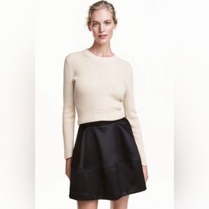 H&M Flared Skirt